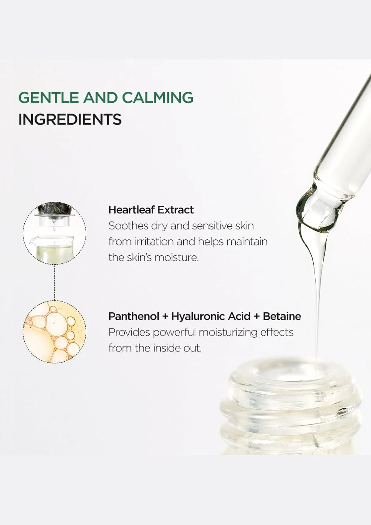 [ANUA] Heartleaf 80% Moisture Soothing Ampoule 30ml - Image 6
