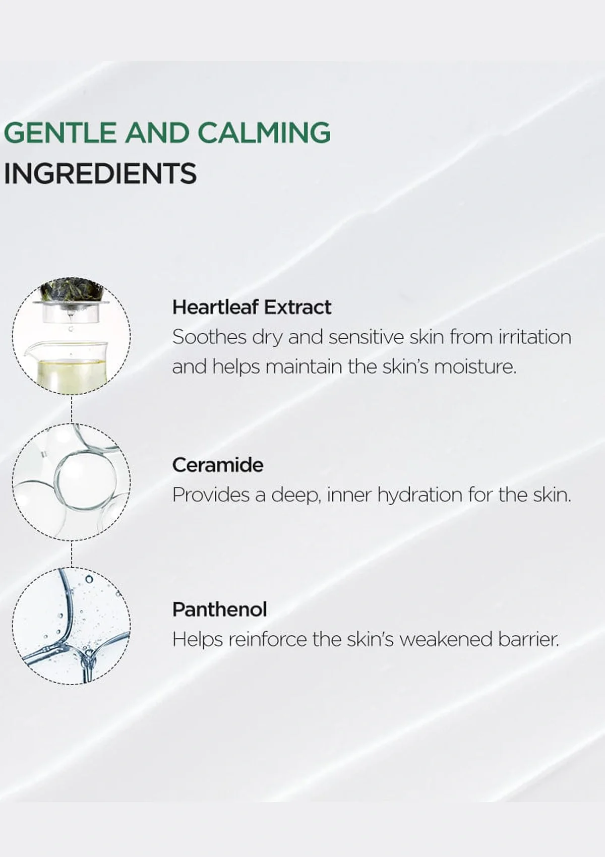 [ANUA] Heartleaf 70% Intense Calming Cream 50ml - Image 5