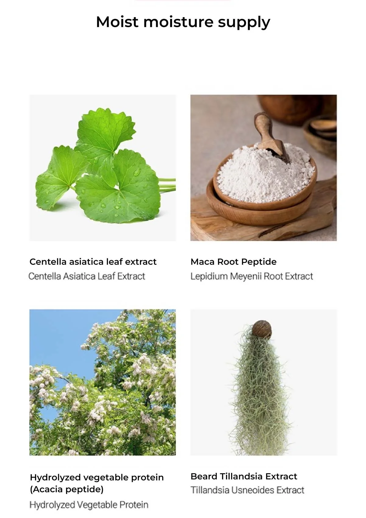 [BLANC DUBU] Nuborn Cell BB Sun Cream SPF 50+ PA++++ 40ml - Image 10