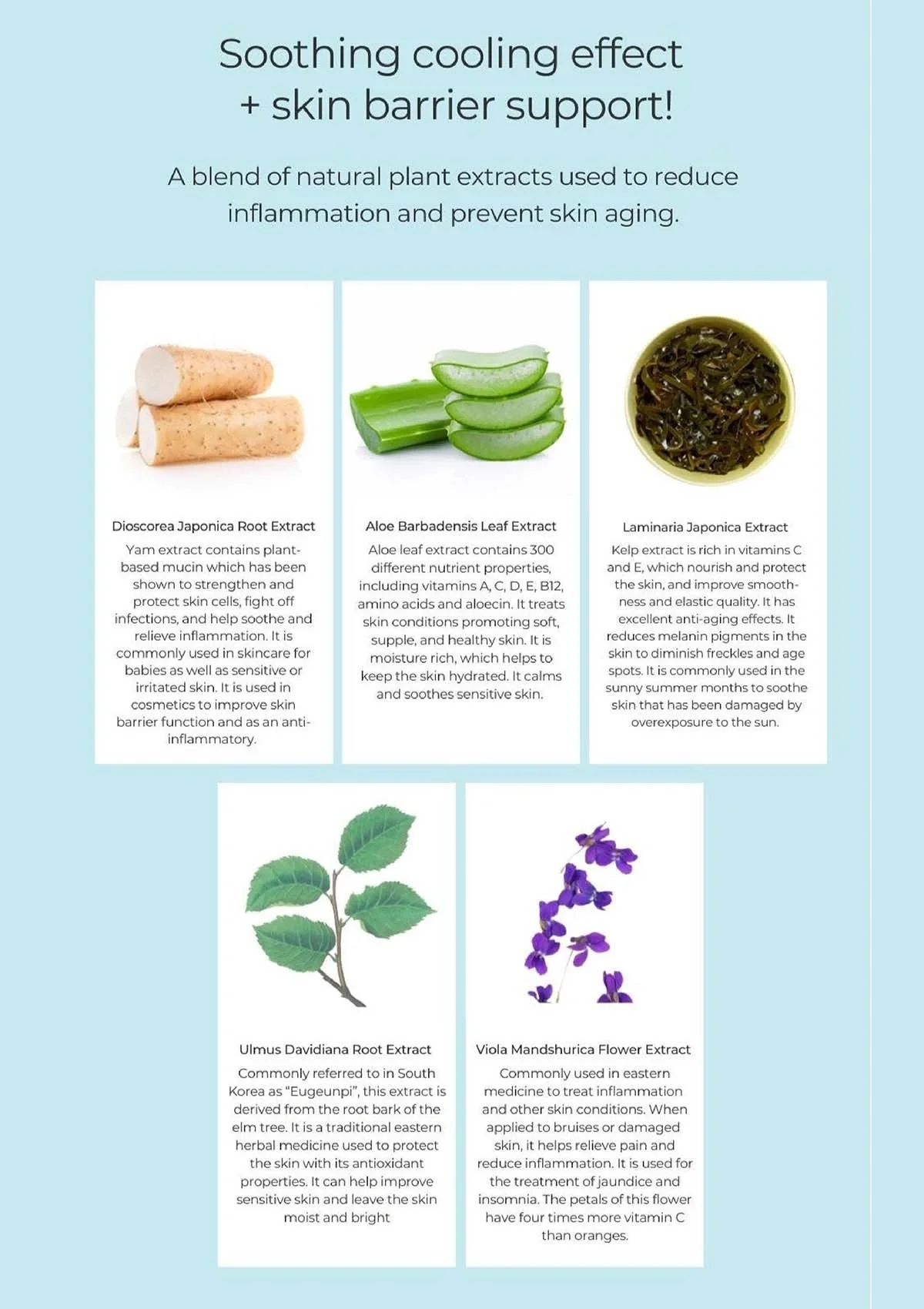 [BLANC DUBU] Nuborn Cell Calming & BB Sun Cream  SPF 50+ PA++++ 40ml - Image 24