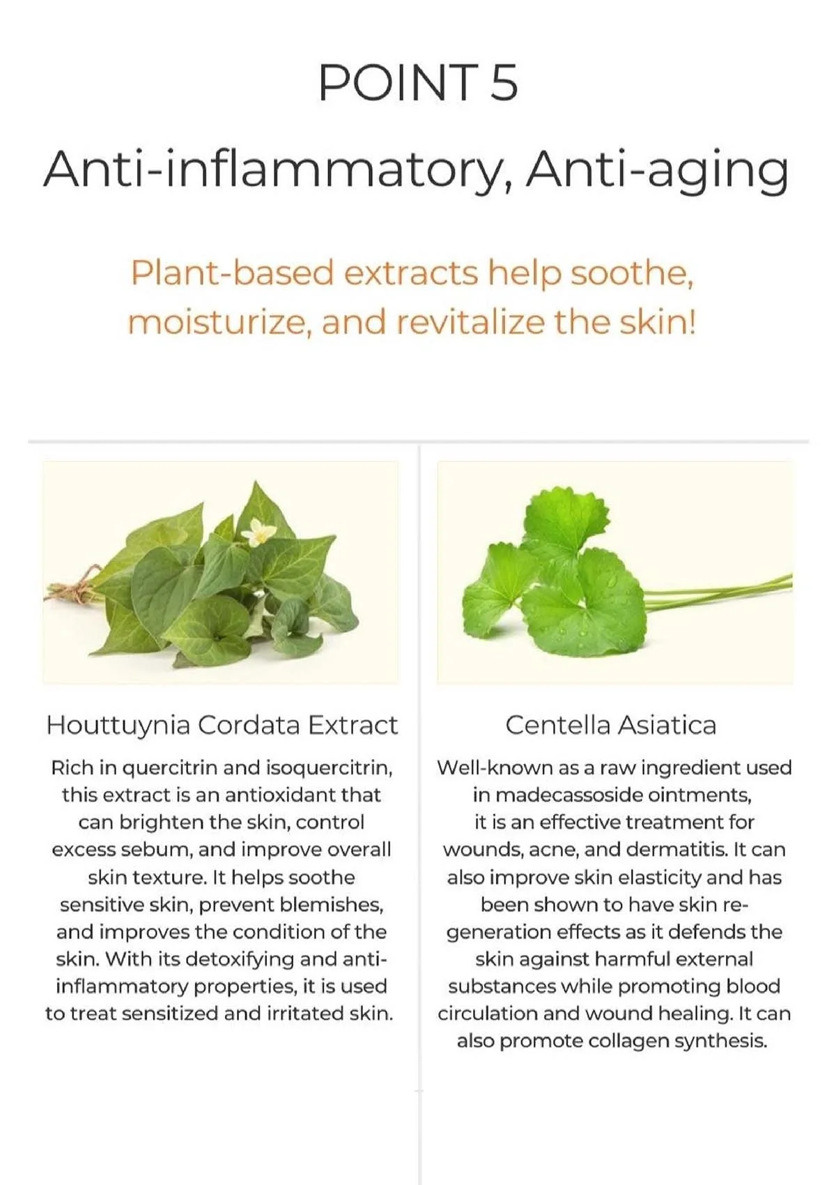 [BLANC DUBU] Nuborn Cell Calming & BB Sun Cream  SPF 50+ PA++++ 40ml - Image 25