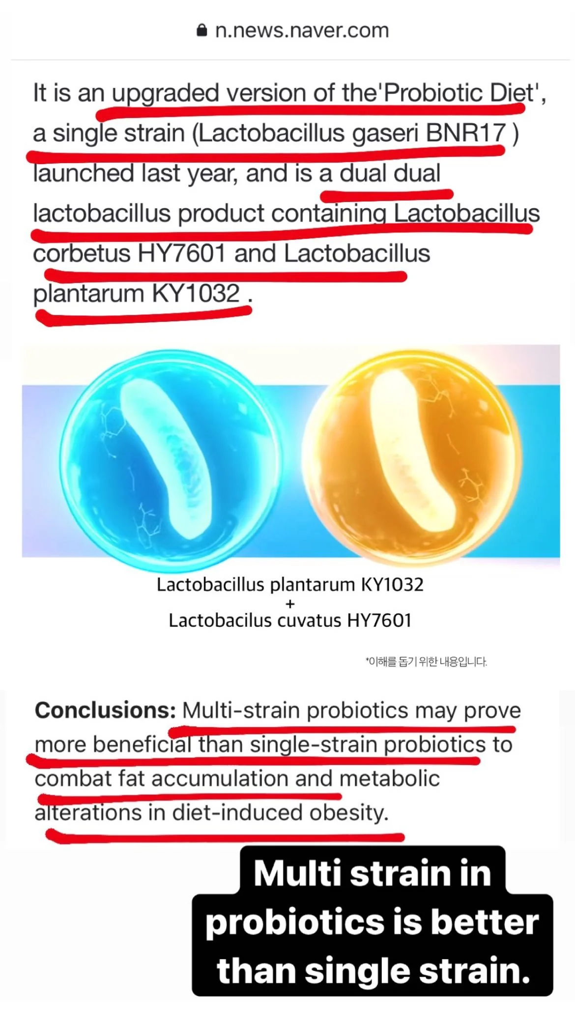 [CELTIVA] UPGRADED VERSION KFDA-certified Probiotics Diet (1 Box = 500mg X 30 Capsules) - Image 6