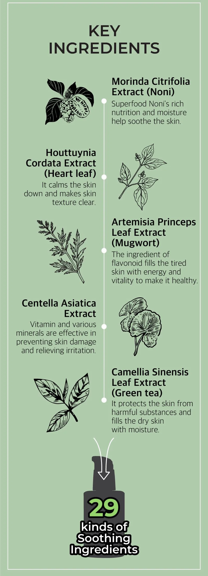 CLEARANCE SALE - [NUMBUZIN] No.7 Mild Green Soothing Serum 50ml - Image 6