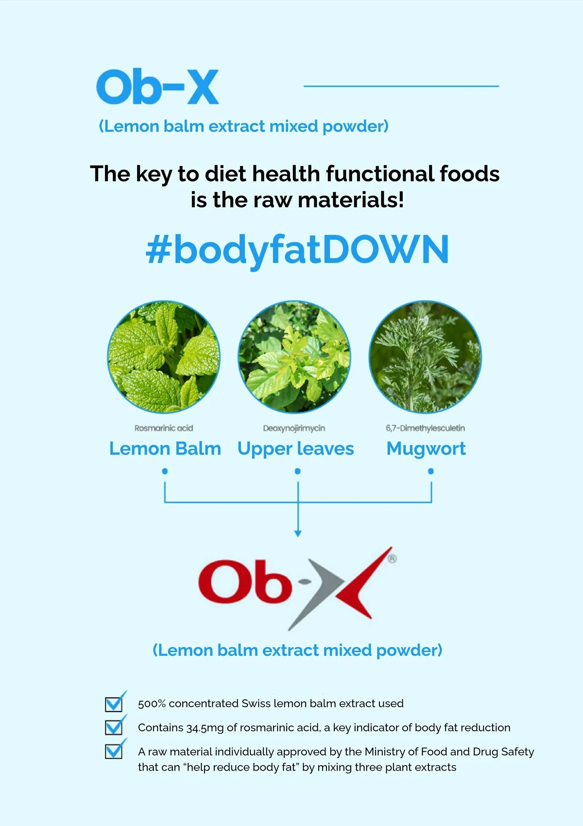 [FITANY] Zenithcal Fat Kill Slim Shot I Fat Out Balsamic Vinegar - Image 16