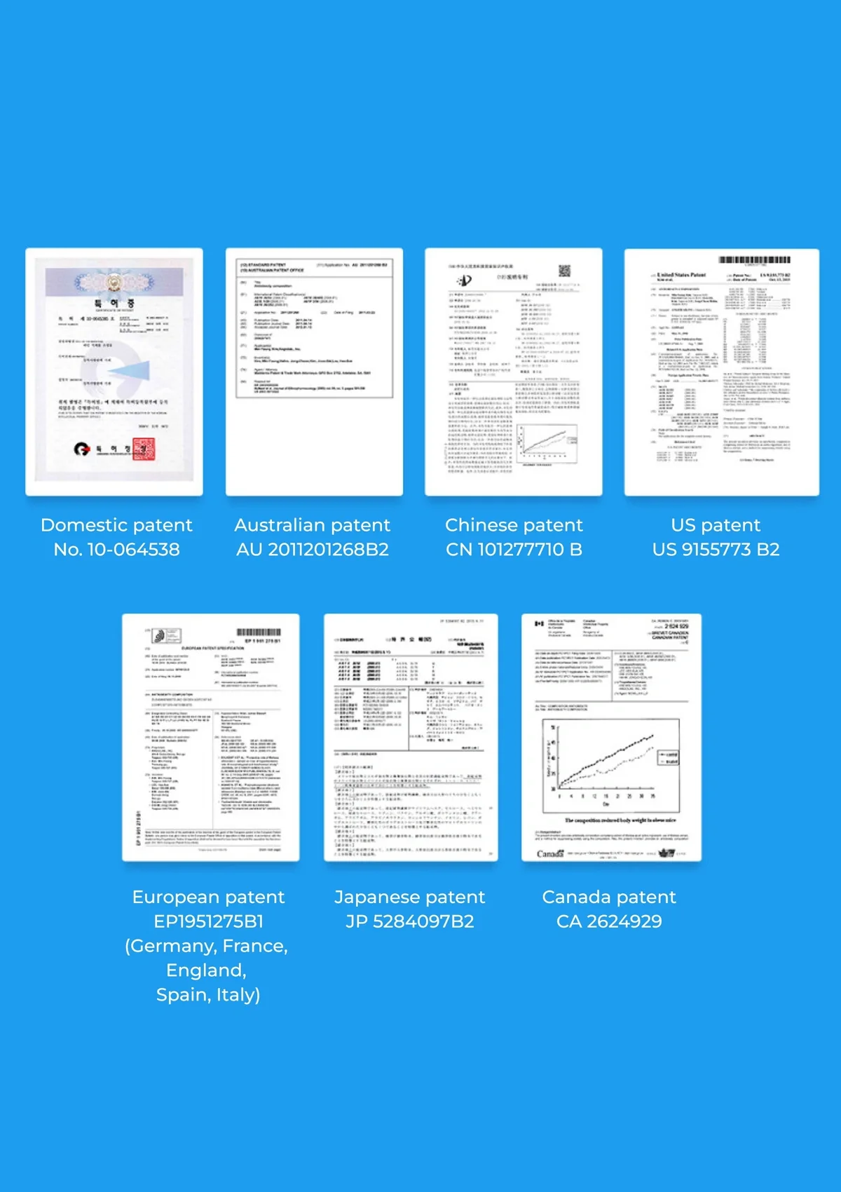 [FITANY] Zenithcal Fat Kill Slim Shot I Fat Out Balsamic Vinegar - Image 8
