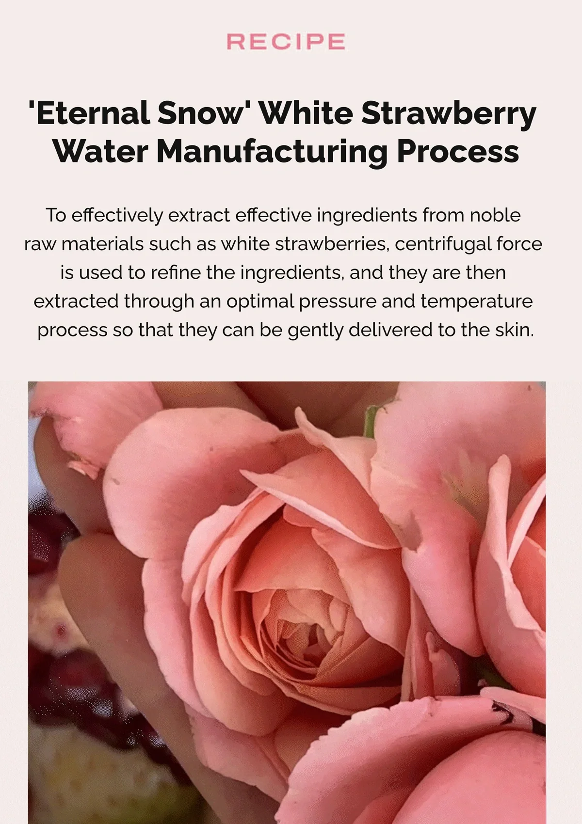 [FLANER] Snowberry Sorbet Glow Body Scrub 200g - Image 18