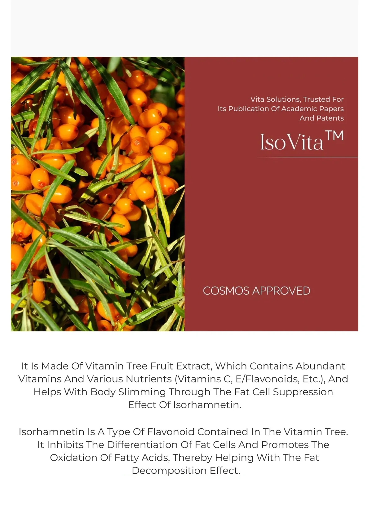 [JAKYOUNG] Cellu-Light Stick I Lift Up Light Cream 50g - Image 11