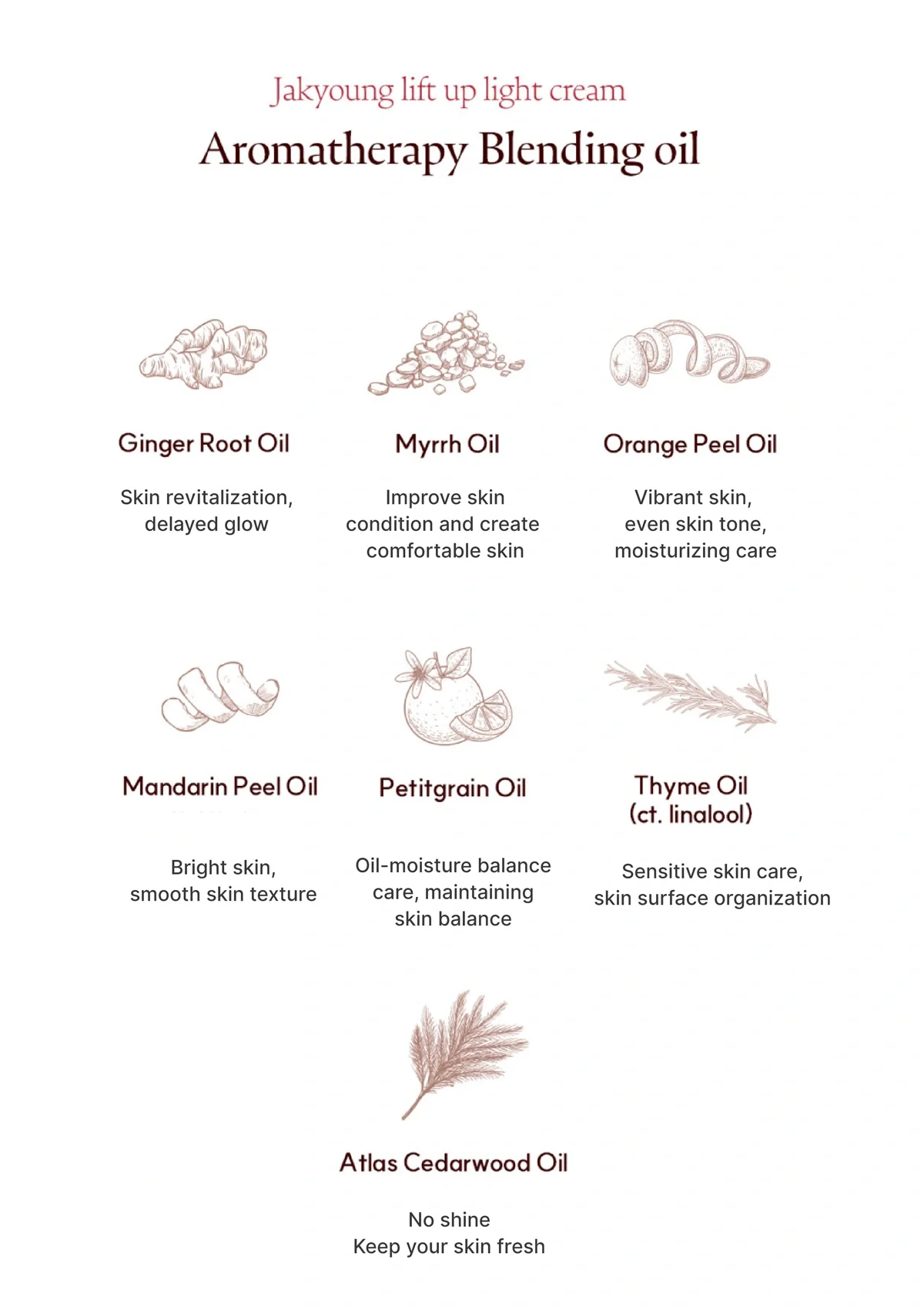 [JAKYOUNG] Cellu-Light Stick I Lift Up Light Cream 50g - Image 31