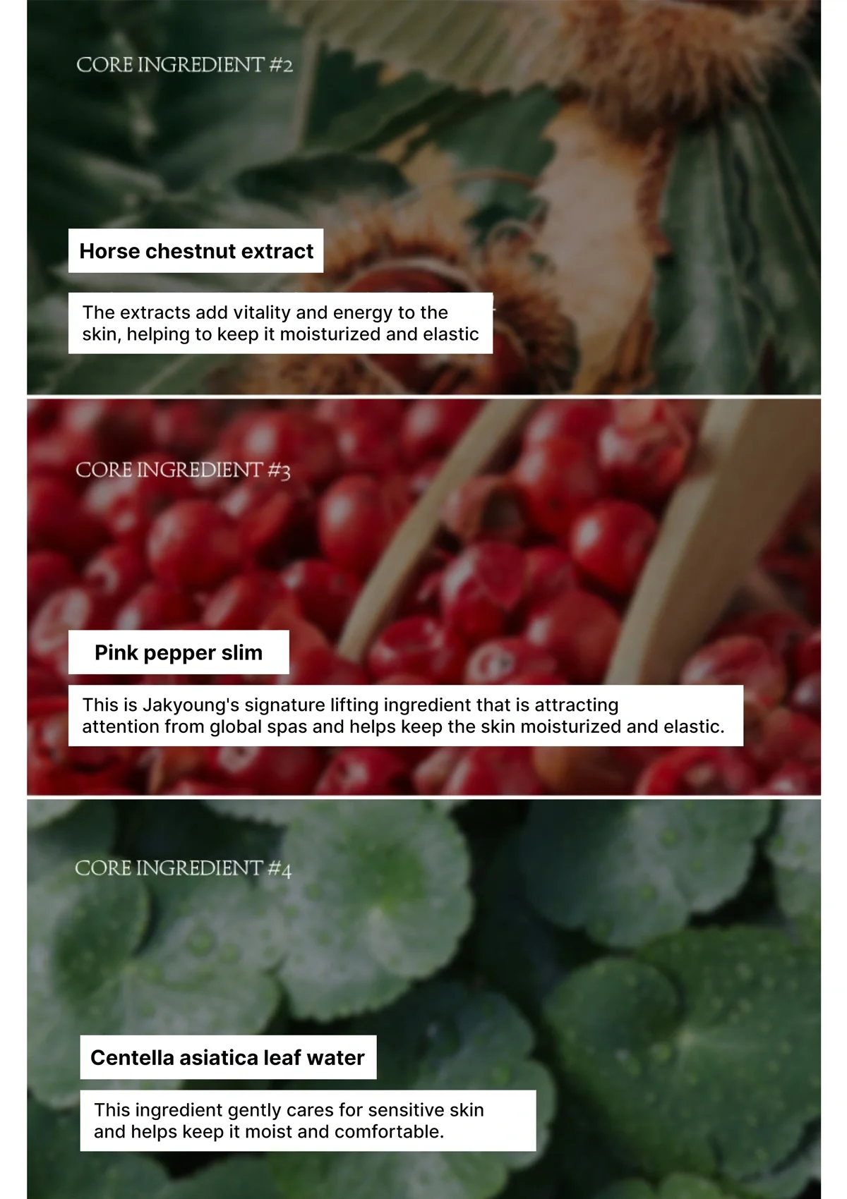 [JAKYOUNG] Cellu-Light Stick I Lift Up Light Cream 50g - Image 37