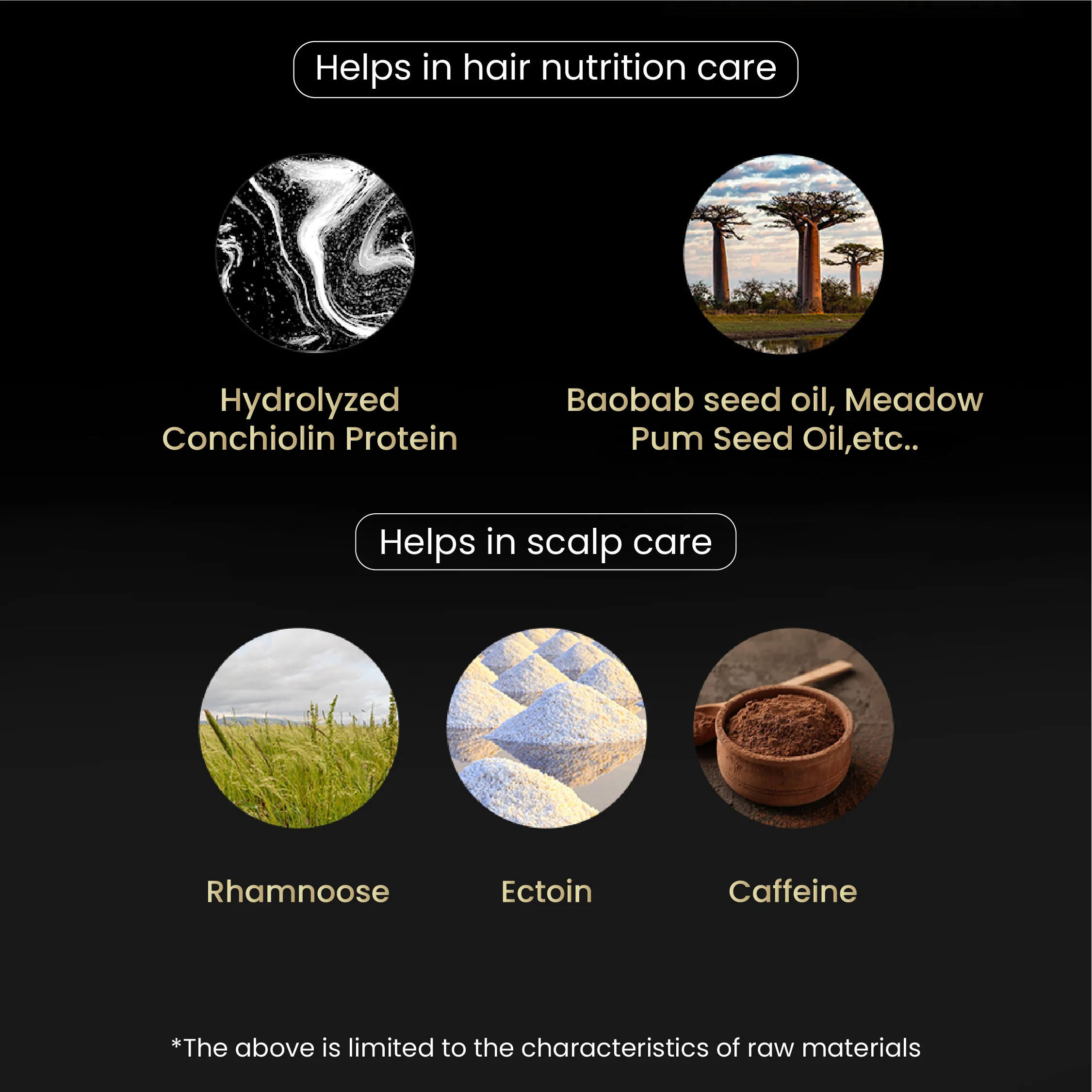 [LALACHUU] Hair Cushion Master Season 2 with Magnetic Brush and Puff - Image 10