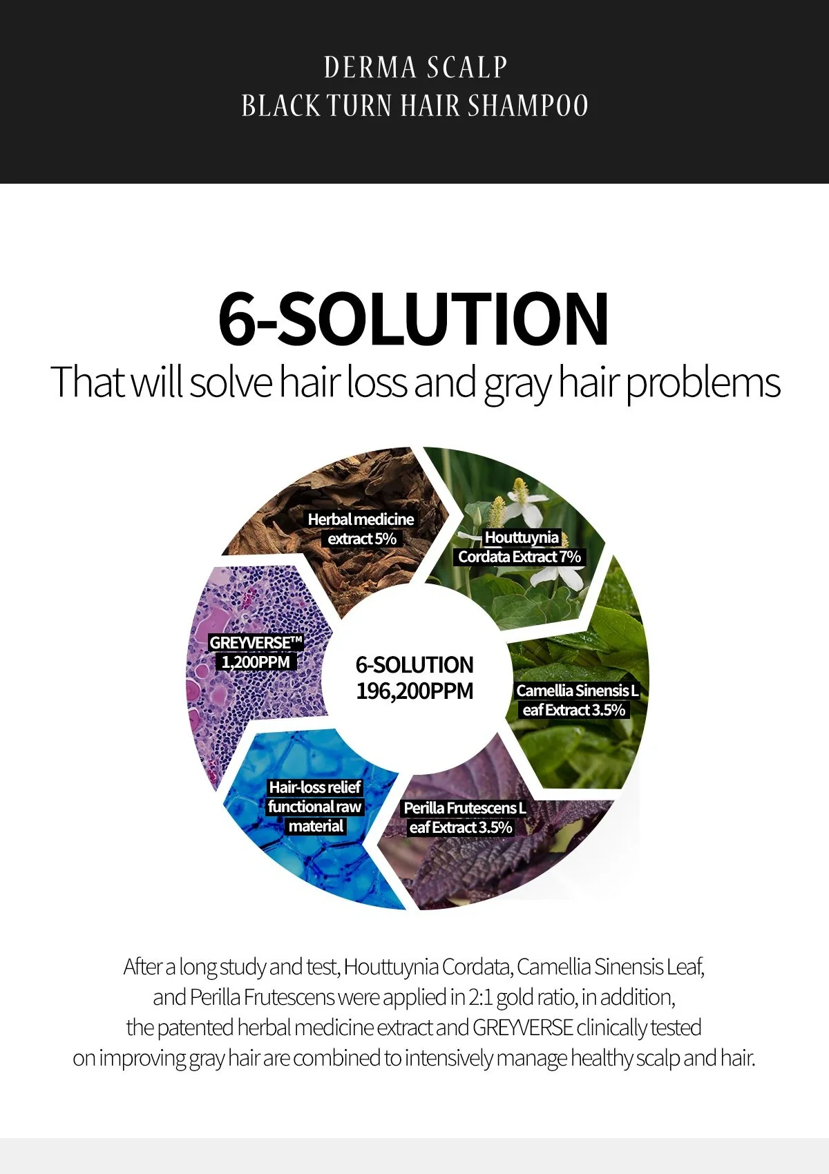 [MBA] Derma Black Turn & Protein Hair Shampoo 500ml - Image 11