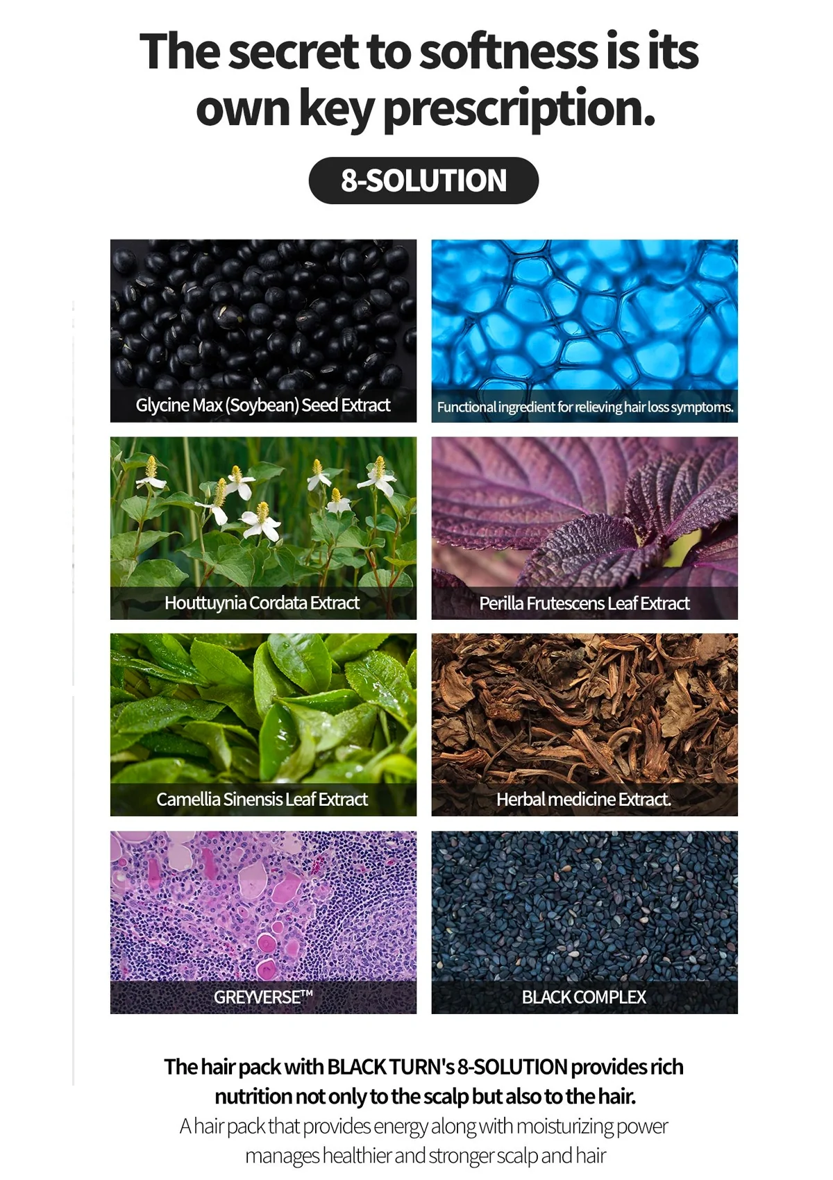 [MBA] Derma Scalp Hair Pack 270ml - Image 14