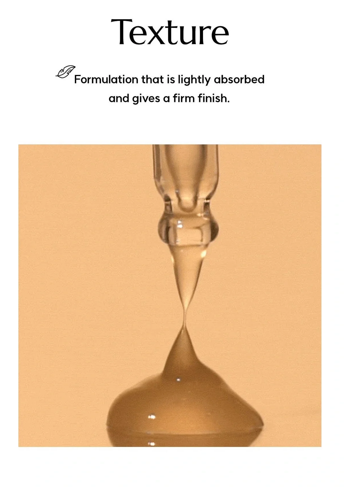 [MOLVANY] Castanea Crenata Inner Shell Pore Tightening Serum 50ml - Image 15