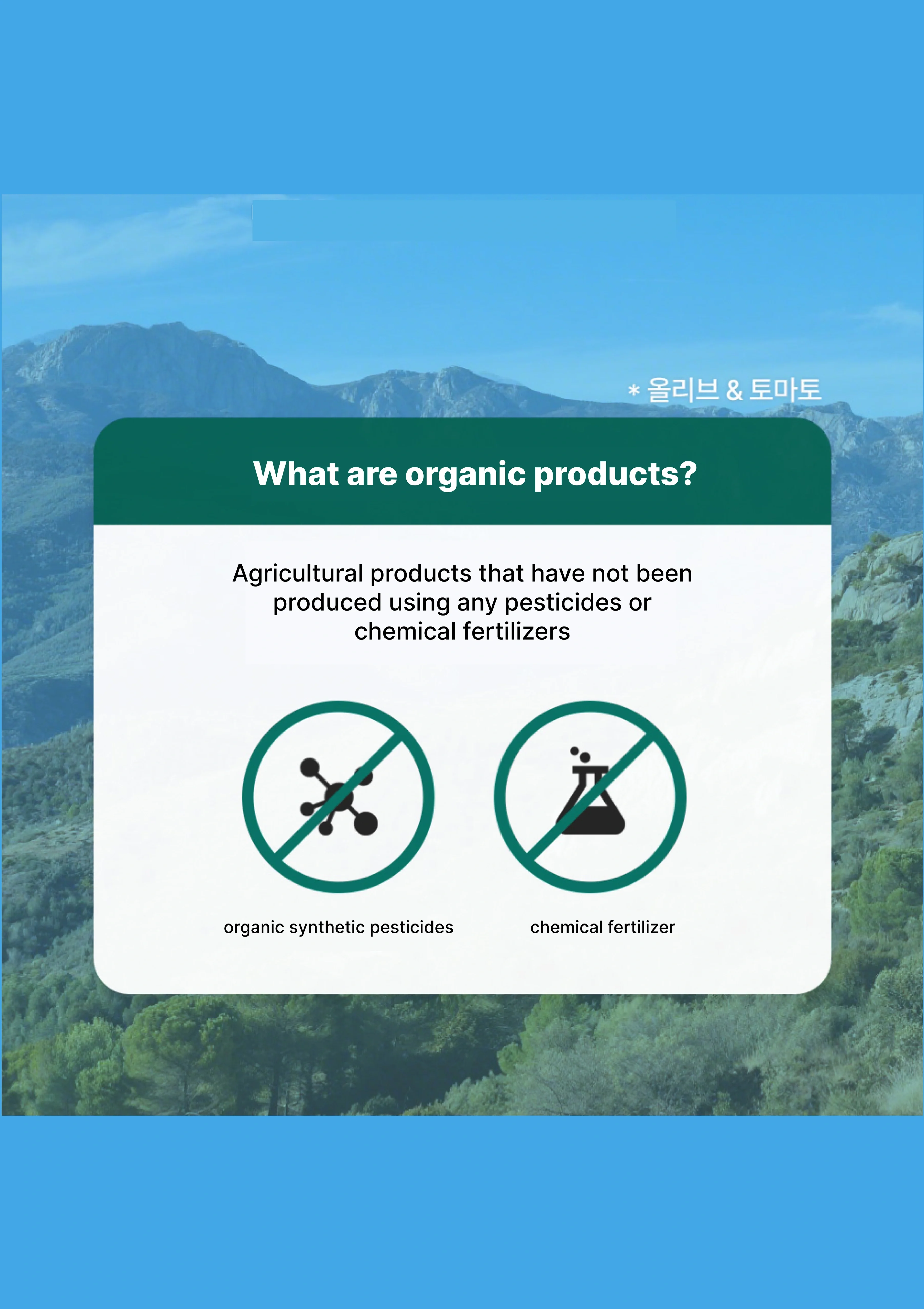 [OLIVAZUMO] Organic Olive Tomato Oltoshot (1 Box = 20ml x 14 Sticks) - Image 10