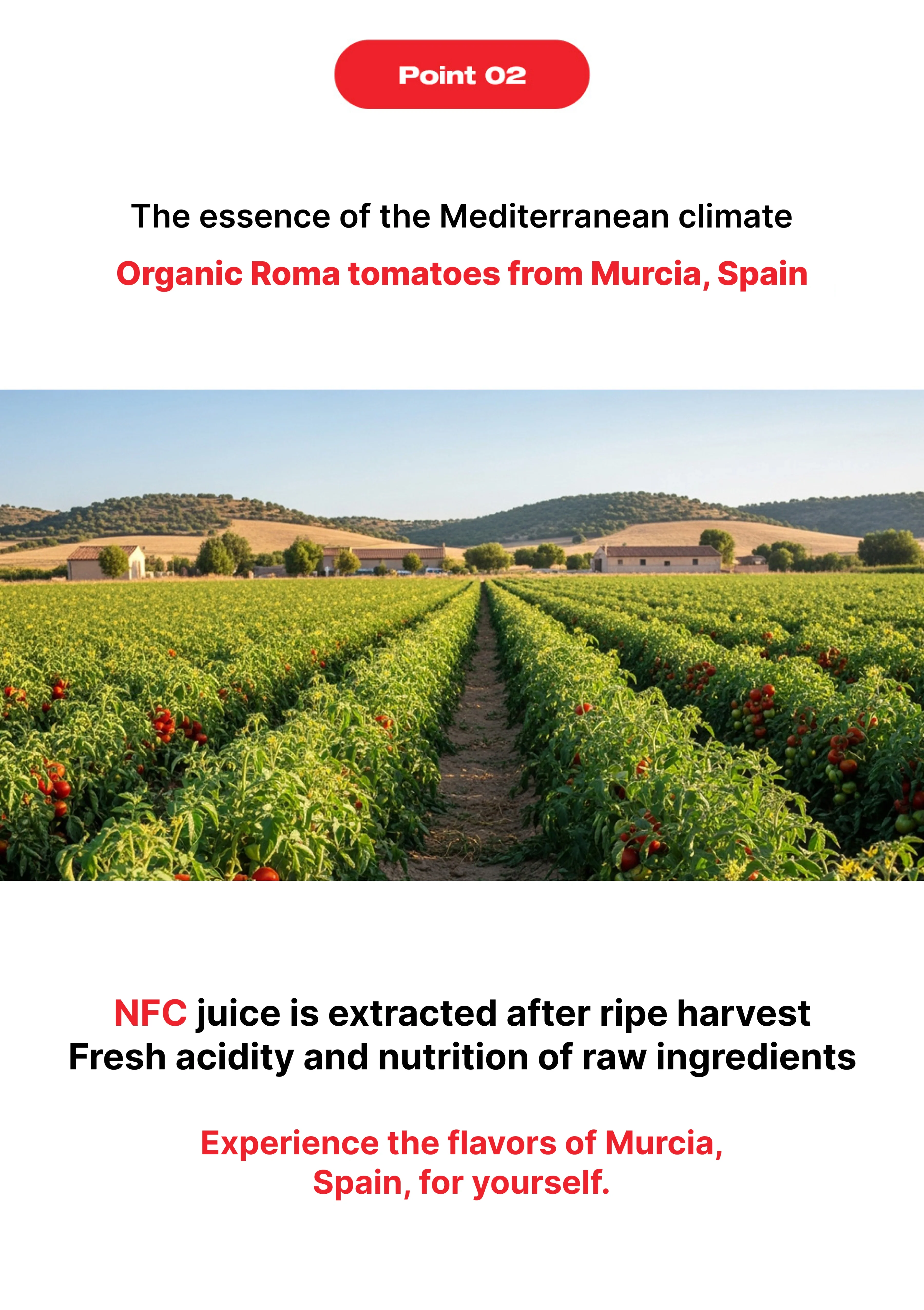 [OLIVAZUMO] Organic Olive Tomato Oltoshot (1 Box = 20ml x 14 Sticks) - Image 15