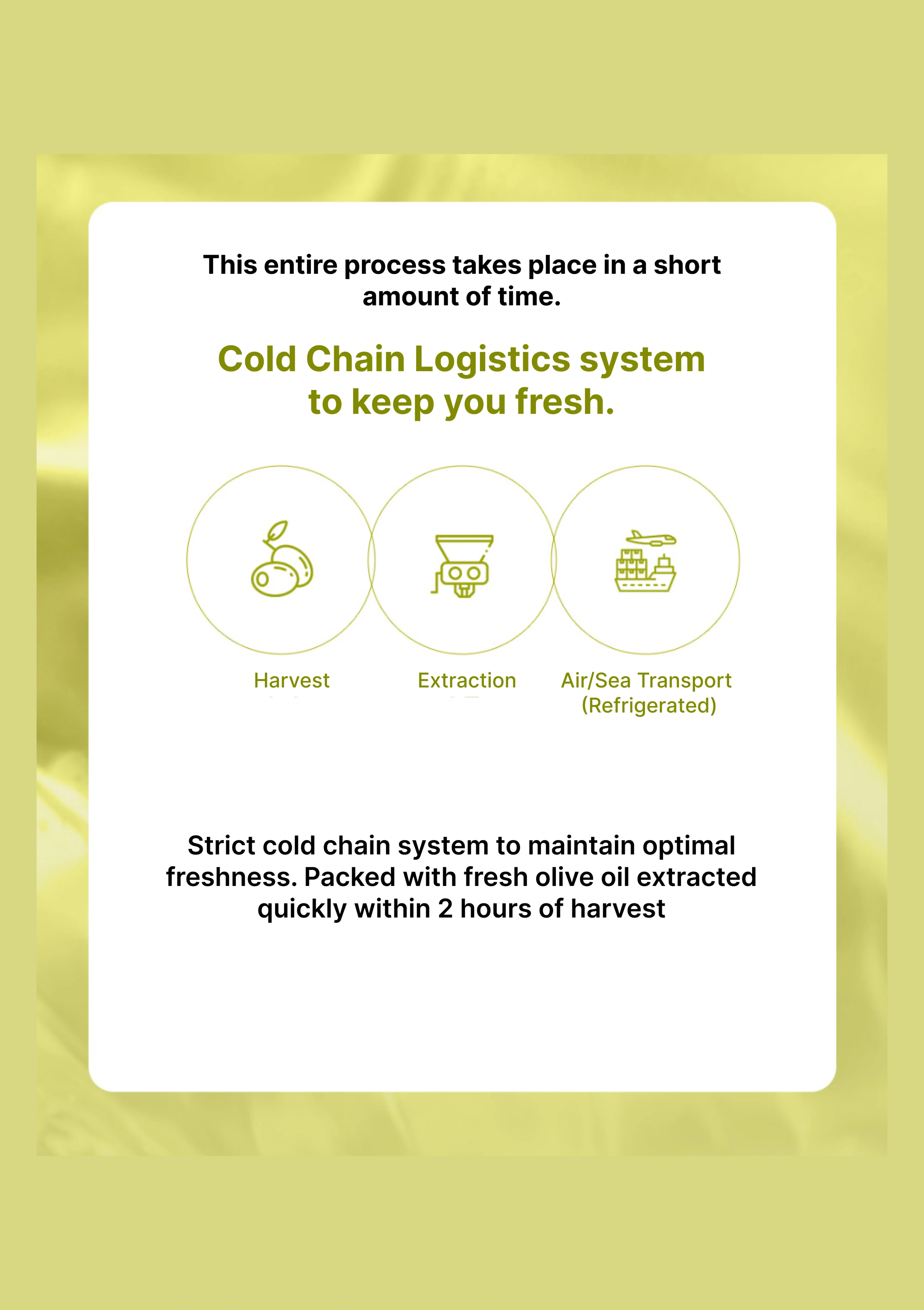 [OLIVAZUMO] Organic Olive Tomato Oltoshot (1 Box = 20ml x 14 Sticks) - Image 18