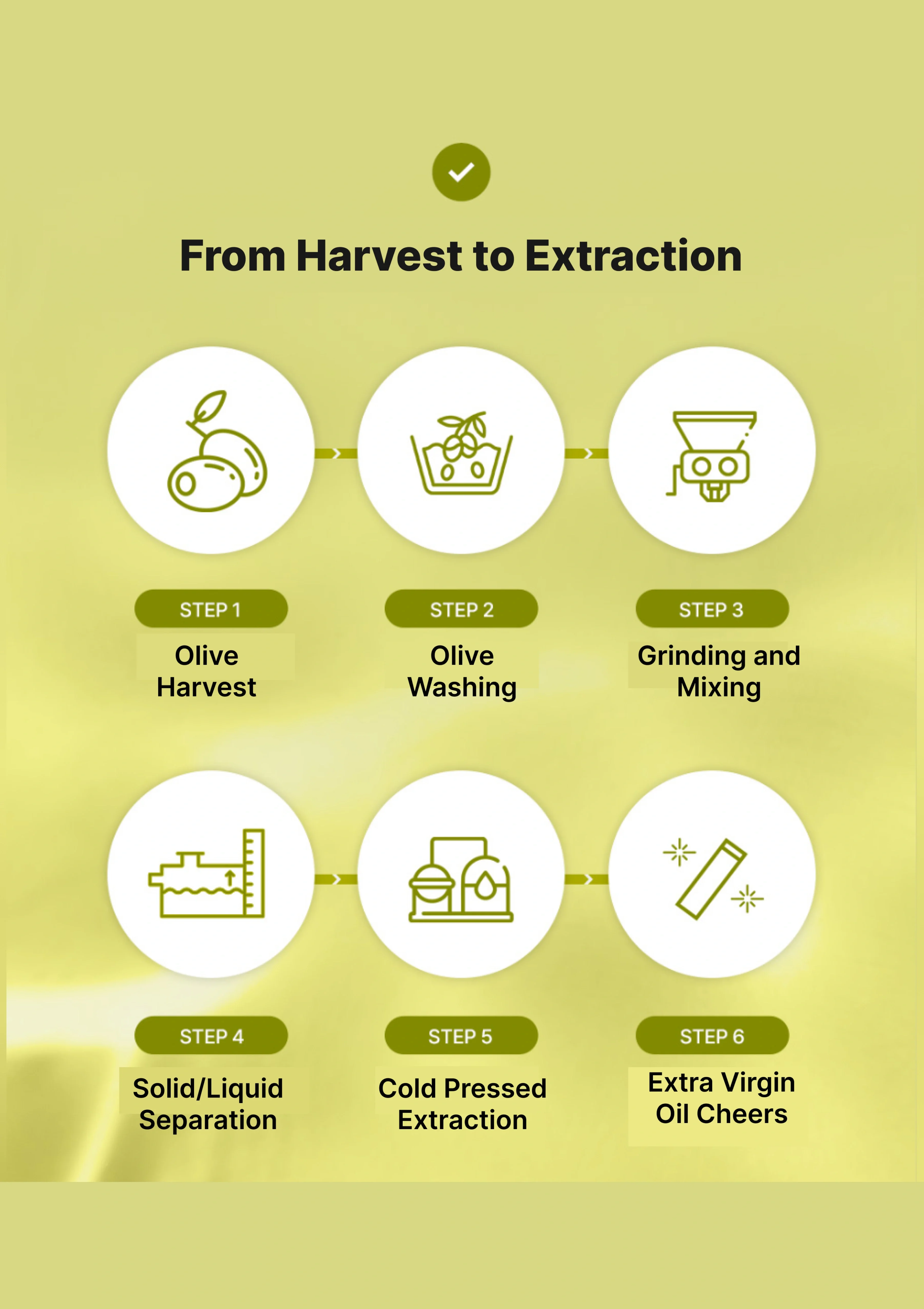 [OLIVAZUMO] Organic Olive Tomato Oltoshot (1 Box = 20ml x 14 Sticks) - Image 19