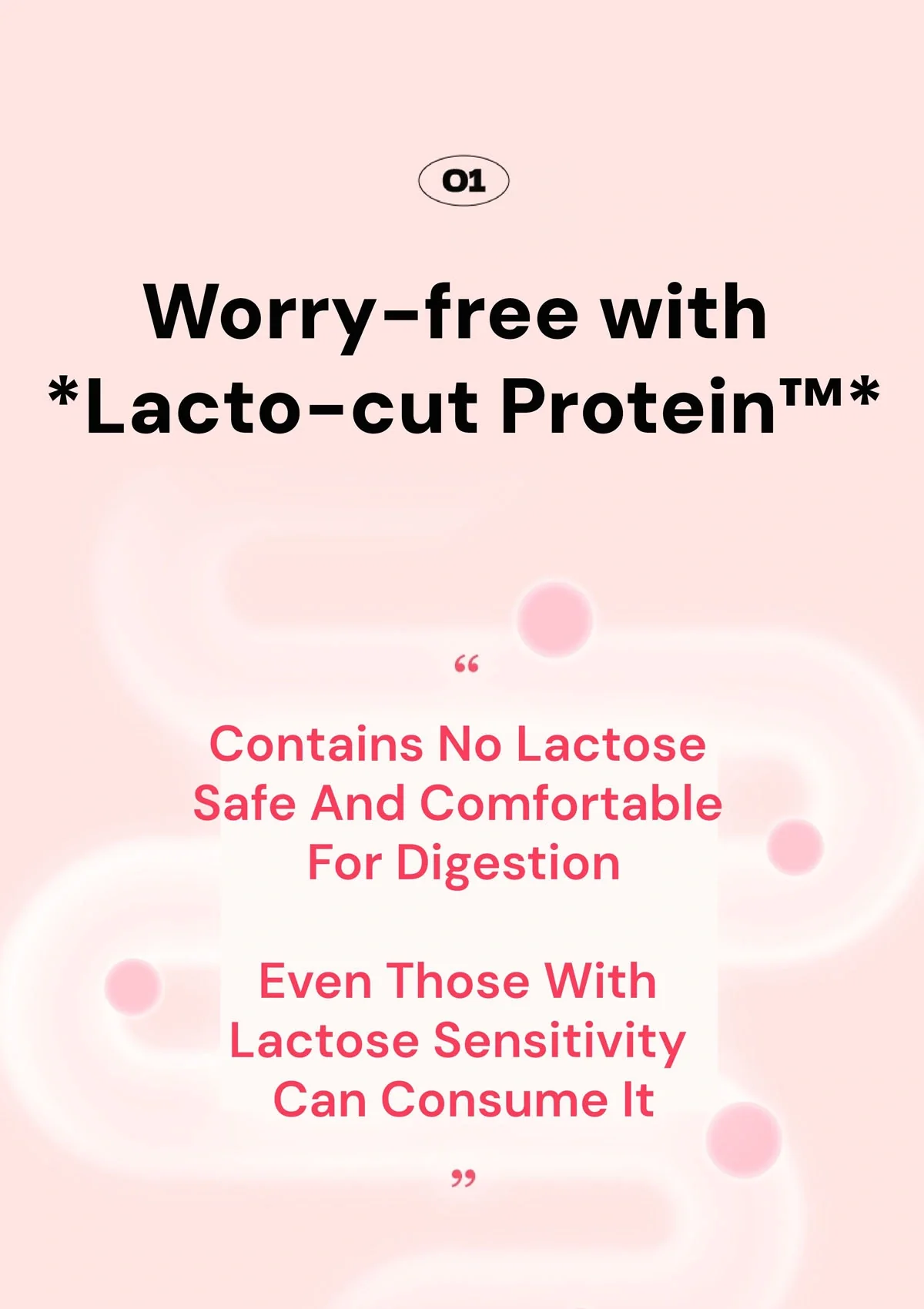 [SHAKE BABY] Diet Formular Protein Shake 630g (Upgraded Version in 10 Flavors) - Image 12