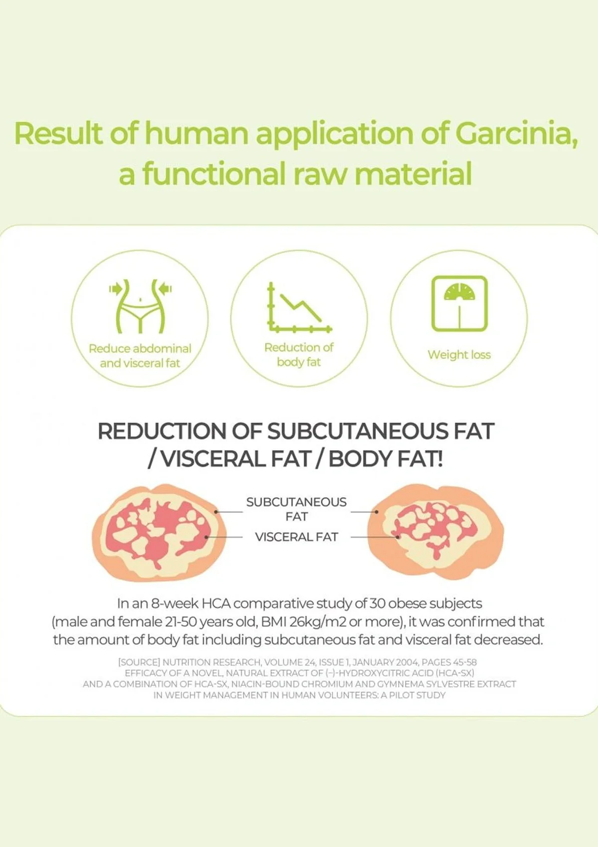 [SHIKOOTAENG] Diet Coffee  Americano | Hazelnut | Green Edition Limeade (30 Sticks) - Image 20