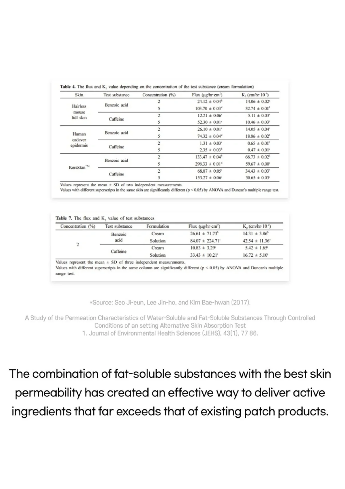 [SL LIGHT] Belly Patch | Multi Patch - Image 9