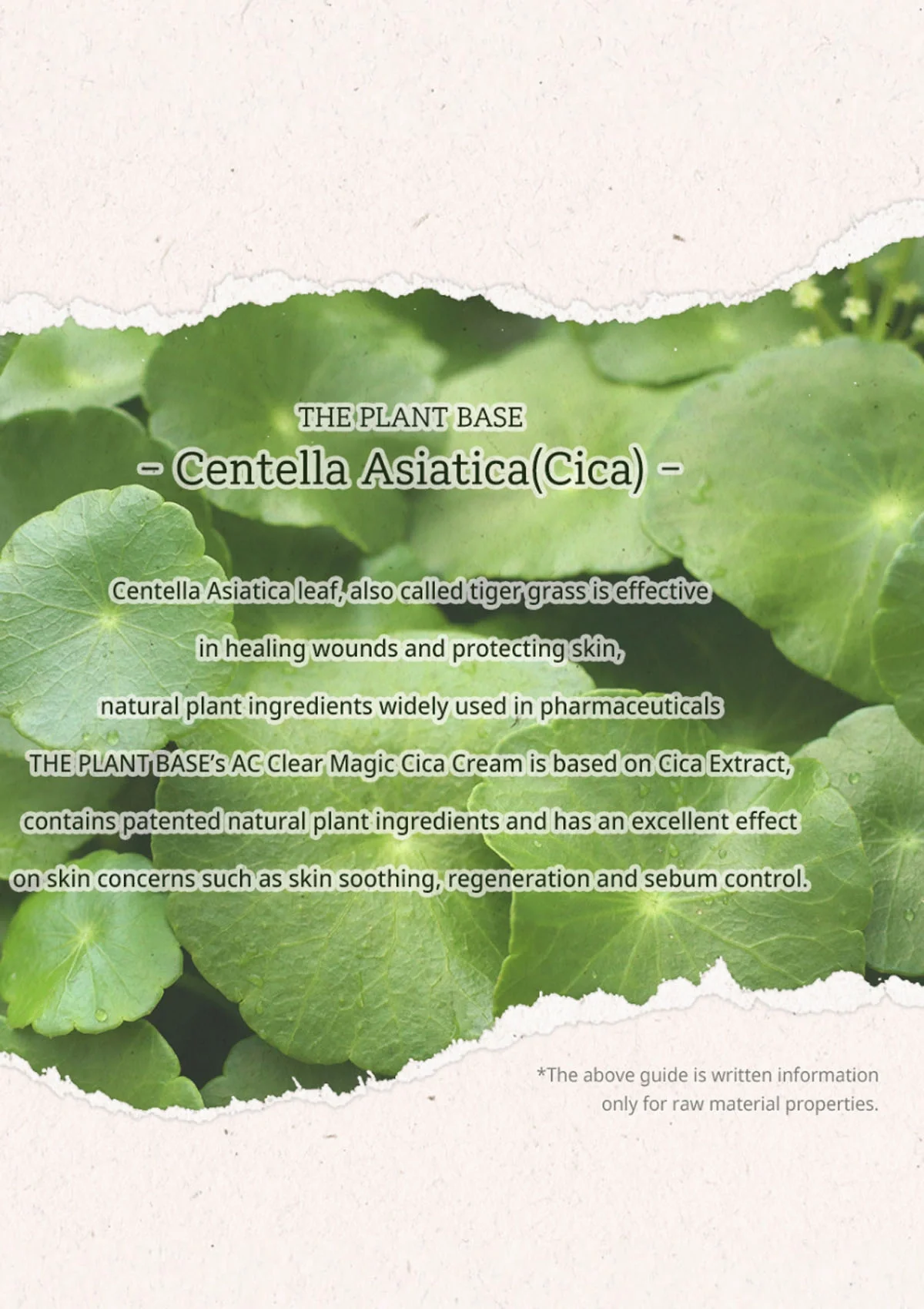 [THE PLANT BASE] AC Clear Magic Cica Cream 60ml - Image 8