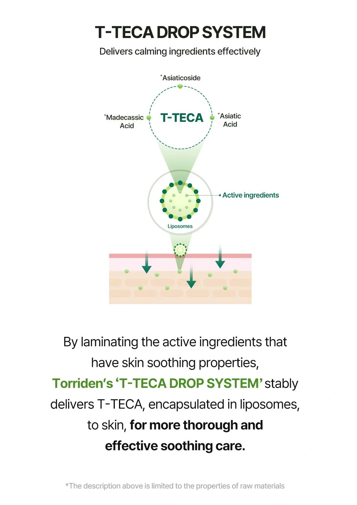 [TORRIDEN] Balanceful Cica Cream 80ml - Image 12
