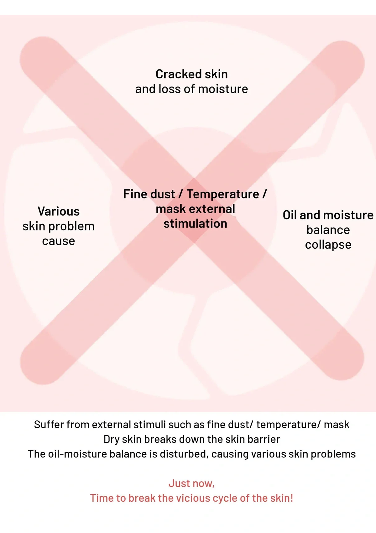 [VELY VELY] L22 Barrier Cream 50ml - Image 6